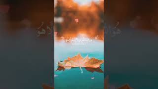 Surah Hashr last 3 verses🤲🕊️ islamicvideo quranrecitation beautiful allah viralvideo [upl. by Nalehp966]