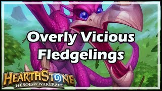 Hearthstone Overly Vicious Fledgelings [upl. by Powel]