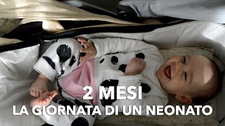 Cosa può fare un neonato a 2 mesi Come organizzare la sua giornata [upl. by Ecniv480]