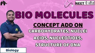 Biomolecules Class 11 Biology NEET  Carbohydrates Nuclei Acids Nucleotides Structure of DNA [upl. by Ellerahs]