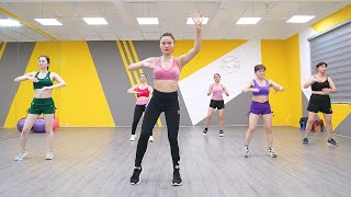 Burn Stubborn Belly Fat 🔥 Exercises to Get Slim Waist  Reduce Lower Belly Fat  AEROBIC DANCE [upl. by Eeluj]