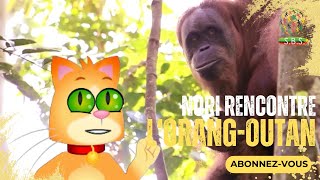 Nori rencontre Basuki lOrangoutan  🌍🐱 Episode 8 [upl. by Ardena631]