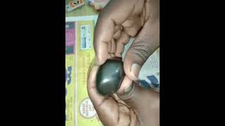 Shaligram Stone Black All Test Ok Sale contact indiarareteamgmailcom [upl. by Chuah]