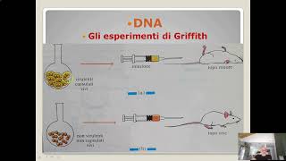 Itinerario di biologia Dna ed esperimenti di Griffith [upl. by Glantz564]