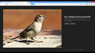 XSS vulnerability in Google Image Search [upl. by Aneleiram]