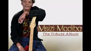 Msizi madiba our mothers lyrics [upl. by Ecirb583]