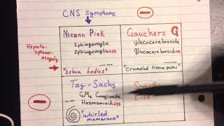 Lysosomal Storage Disease [upl. by Jory489]