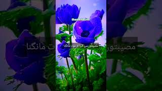 Hadith mwt ka arzoo karna hadith death ytshorts [upl. by Allie]