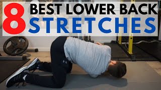 8 Best Low Back Stretches  How to Fix a Tight Lower Back [upl. by Suired]