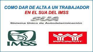 COMO DAR DE ALTA A UN TRABAJADOR EN EL SUA DEL IMSS 2024 [upl. by Gerc]