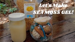 DIY Sea Moss Gel Making Sea Moss Gel [upl. by Rafaello63]