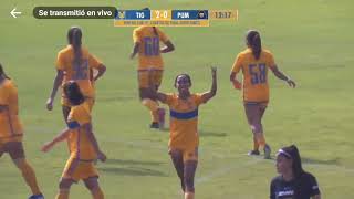 Tigres  Tigres Femenil Sub 19 21 Pumas avanzan a semifinales [upl. by Barling]