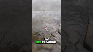 FISHING GONE WRONG 🤮 Copscalled shorts fishing I’m [upl. by Tymes]