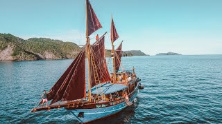 AMAZING Raja Ampat Dive Liveaboard Trip [upl. by Notaes]