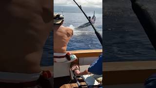 Big marlin… Waterman Channel [upl. by Mahsih]