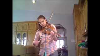 Zebra John Butler Trio violin cover  honkysaxophone [upl. by Lidaa]