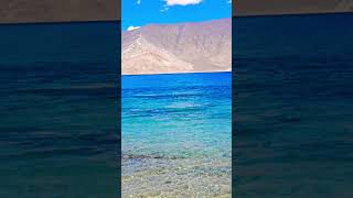 Pangong lake leh ldakhtrevel leh viralvideo motivation [upl. by Aleacin]