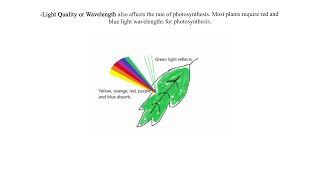 Factors affecting the rate of photosynthesis [upl. by Harlow]