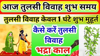 Tulsi Vivah Shubh Muhurt Ekadashi Puja 2023 Tulsi Vivah Ka Samay Tulsi Vivah Kaise Kare [upl. by Noisla]