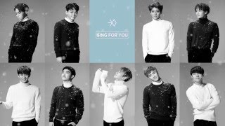 Lyric M EXO  Sing for You 엑소  싱포유 [upl. by Anelah]