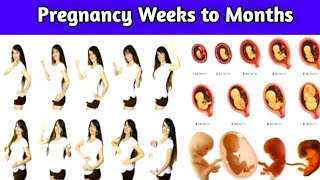 Pregnancy Week to Months  1 to 9 Month Pregnancy Fetal Development [upl. by Jacinta]