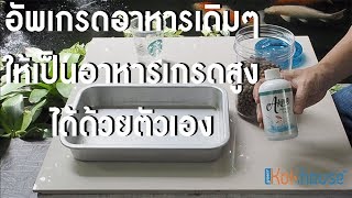 เปลี่ยนอาหารธรรมดาให้เป็นเกรดท๊อปด้วย Probiotic 18plus [upl. by Nnyl731]