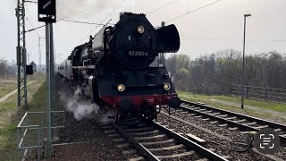 Sonderzug Dampflok BR 03 2155 Durchfahrt FalkenbergElster 31032024 [upl. by Anida654]