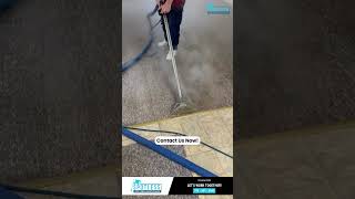 The Best Carpet Cleaning Service you have ever seen shorts carpetcleaningservice [upl. by Neala866]