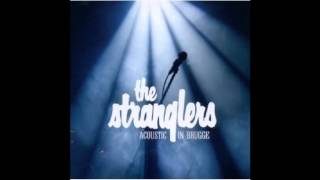 The Stranglers  In the End Live Version [upl. by Amzaj]