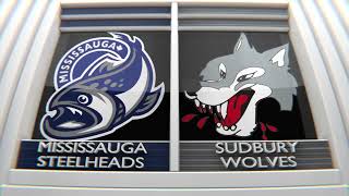 Round 1 Game 3 Highlights Sudbury Wolves vs Mississauga Steelheads [upl. by Eldora]