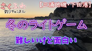 メバリング・アジングに挑戦！これはこれで面白いじゃないか！【三浦地磯】【堤防】 [upl. by Oranneg]