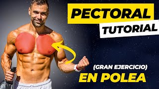 el mejor EJERCICIO de PECTORAL en polea 🔴 Tutorial Gimnasio [upl. by Adnilrev]