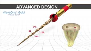 Clinical amp advance design goals of WaveOne® Gold with Dr Ruddle  Dentsply Sironay [upl. by Hcone]