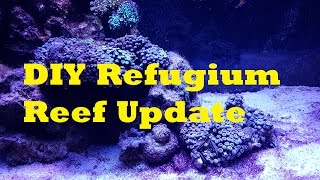 DIY Hang On Back Refugium [upl. by Bullen]