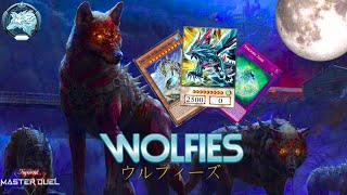 Wolfies  WolfDog Theme Ranked Showcase  🔥 YuGiOh Master Duel 🔥 [upl. by Utta]