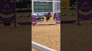 GemampIvy jumping Aintree PoP festival horse showjumping horseriding pony horselover equestrian [upl. by Guglielma632]