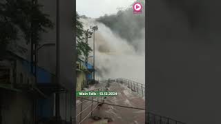 Main Falls Flood  13122024  Flooding  Bathing Banned  Less Crowd  Kutralam Live [upl. by Lianna]