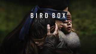 Bird Box Movie Explained HINDI  Bird Box 2018 Horror Film Story हिंदी  اردو [upl. by Anawt]