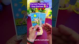 TAROT CARD READING TODAY❤️CURRENT FEELINGS OF YOUR PERSON🧿 tarot viral shorts [upl. by Inahc]