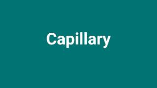 Capillary Meaning and Pronunciation [upl. by Adrial]