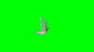 Pink transparent butterfly green screen video  Butterfly green screen [upl. by Siseneg]