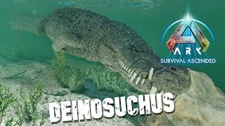 Taming A Deinosuchus  Ark Survival Evolved [upl. by Reinertson]