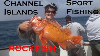 Channel Islands SportFishing Catching Rockfish [upl. by Ziul410]