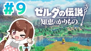 【ゼルダ】初めての知恵のかりもの初見プレイ☆９『ゼルダの伝説 知恵のかりもの』 [upl. by Thar]