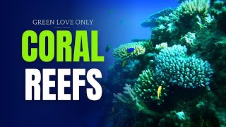 CORAL REEFS Exploring the Enchanting World of Coral Reefs  Coral reef diving adventure [upl. by Nosnevets456]