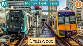 Transport for Sydney Vlog 840 Chatswood Station  Morning Peak Trains Part 2 [upl. by Riay]