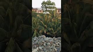 NALCO  SMCC SMI  Nasipit ADN [upl. by Rialcnis]