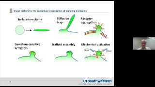 2022 04 05 Cell morphological control over oncogenic signals [upl. by Nnylyaj]