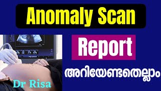 Anomaly Scan Malayalam  5th Month Scan Report Malayalam [upl. by Neerac950]