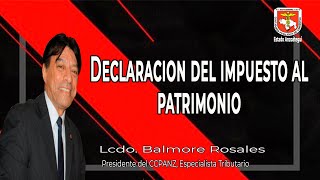 Declaración del Impuesto al Patrimonio [upl. by Novaat]